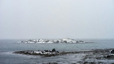 Aurö: From Viking Roots to Environmental Research Leadership